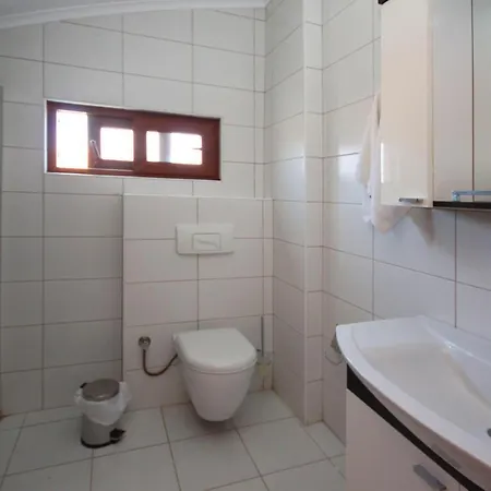 Paradise Town Daisy *