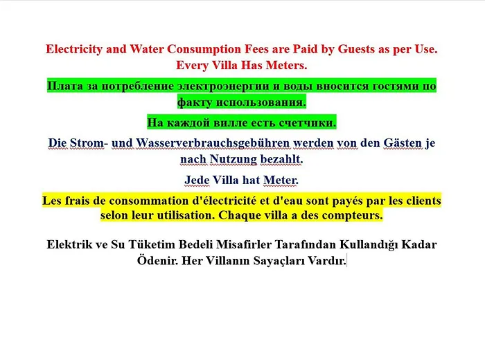 Paradise Town Daisy *