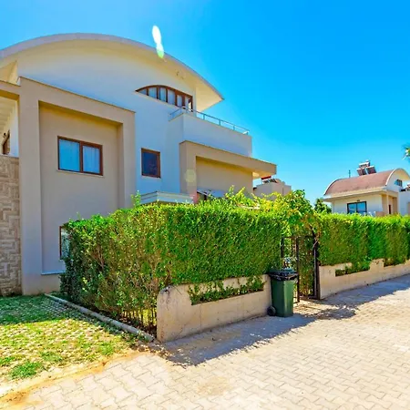 Paradise Town Daisy באלאק