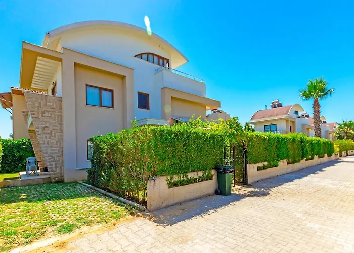 Paradise Town Daisy באלאק