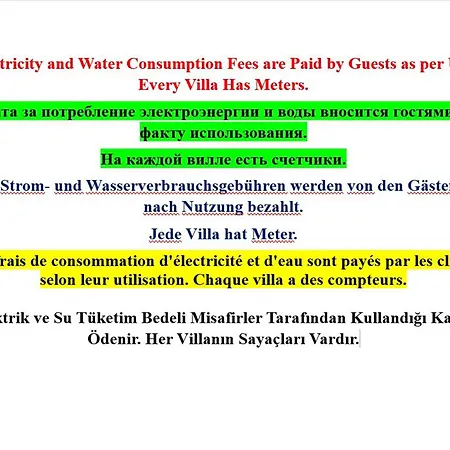 Paradise Town Daisy *